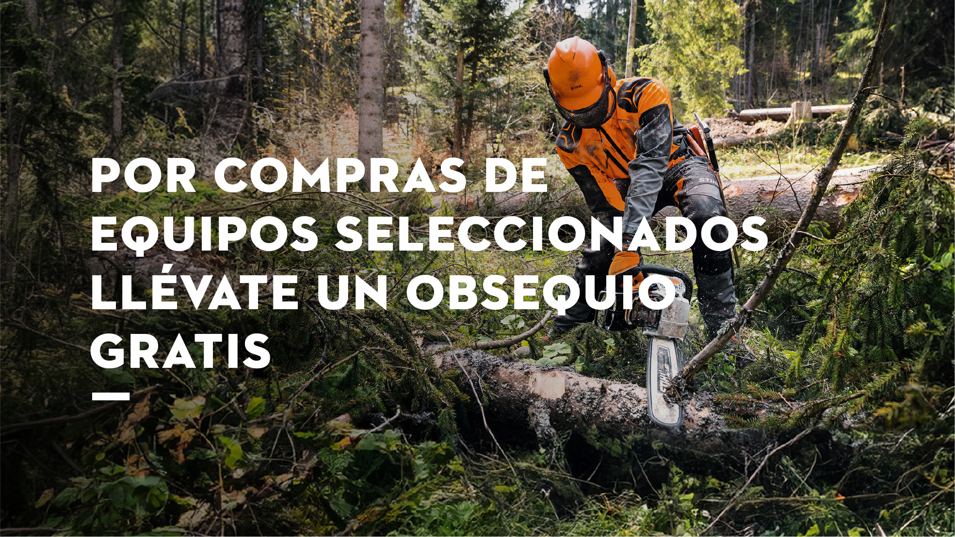 promocion-100-anos-stihl